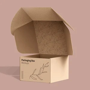 custom-kraft-mailer-box