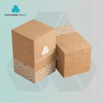 custom-kraft-paper-boxes-packaging-1