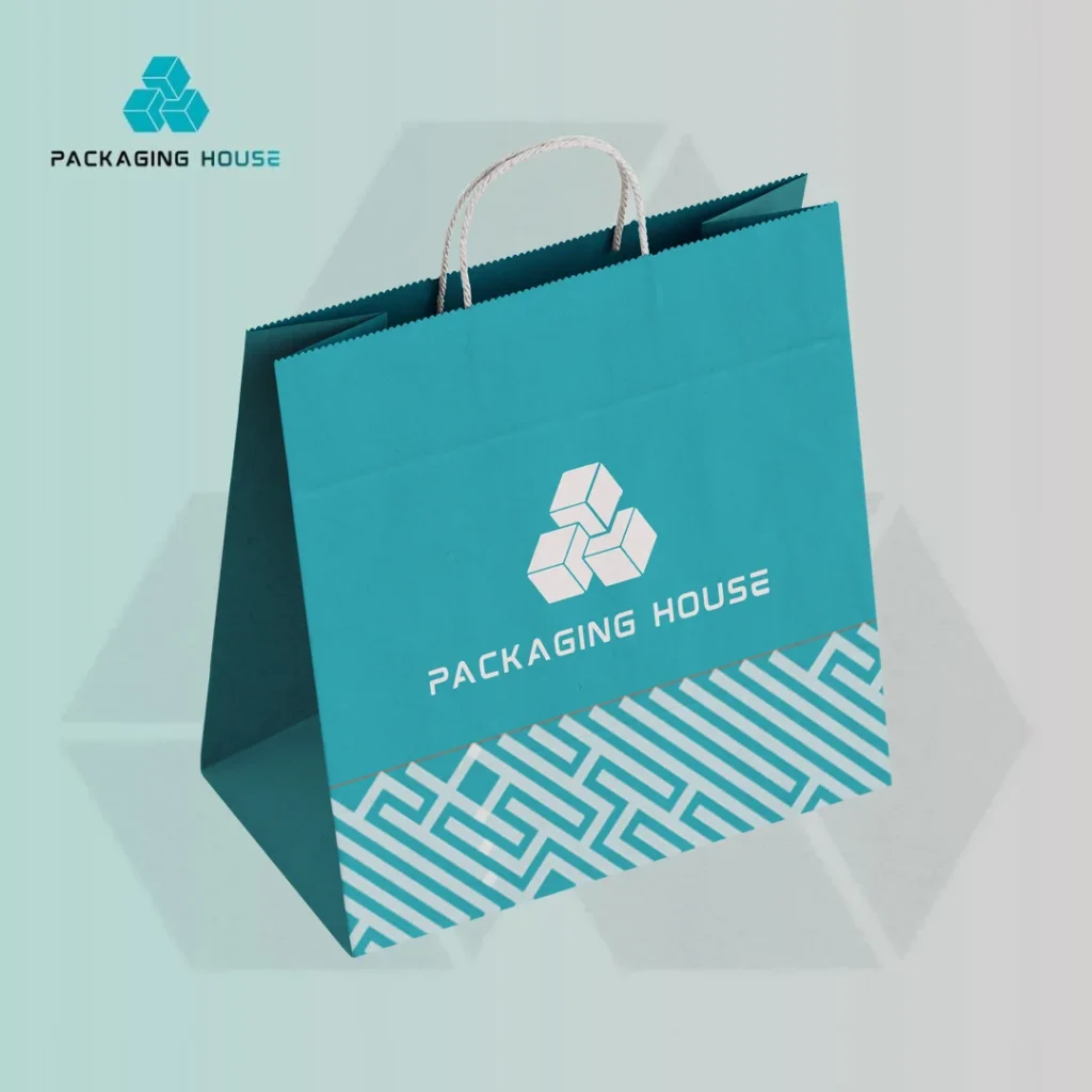 custom-paper-gift-bags-premium-packaging-1
